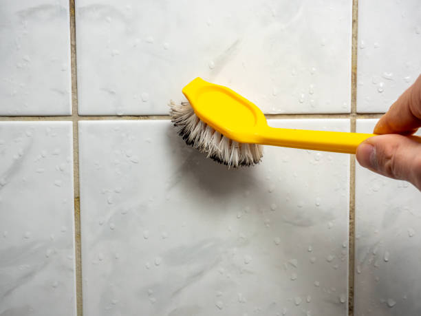 Home Mold Removal in St Charles, IL