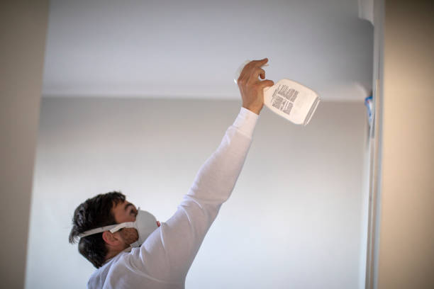 Attic Mold Removal in St Charles, IL