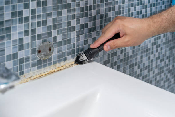 Best Attic Mold Removal  in St Charles, IL