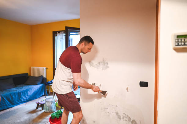 Best Mold Remediation  in St Charles, IL